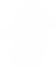 常滑セラのイラスト