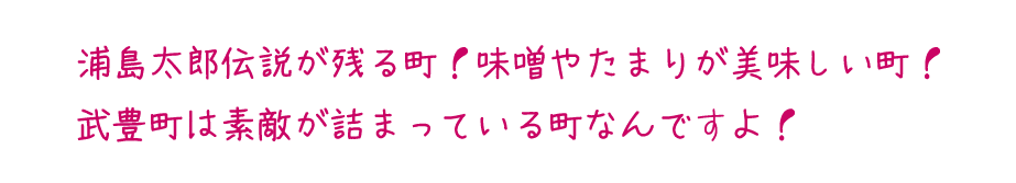 浦島太郎伝説が残る町！<br>味噌やたまりが美味しい町！武豊町は素敵が詰まってる町なんです